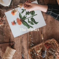 The Marker's Collection