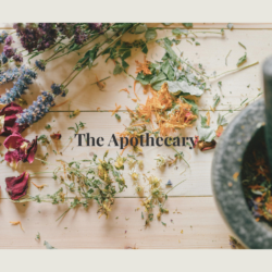 THE APOTHECARY
